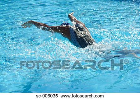 Female Swimmer Swimming Butterfly View Large Photo Image Stock Photography - Female Swimmer Swimming Butterfly. Fotosearch