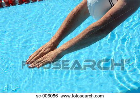 Hands of Male Swimmer Diving View Large Photo Image Stock Photograph - Hands of Male Swimmer Diving. Fotosearch