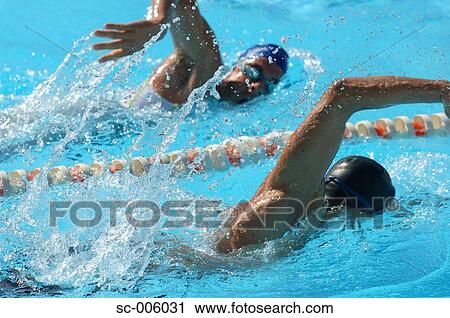 Male and Female Swimmer Racing View Large Photo Image Stock Image - Male and Female Swimmer Racing. Fotosearch