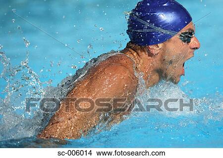 Picture - Male Swimmer Swimming Butterfly. Fotosearch
