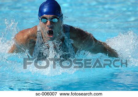 Male Swimmer Swimming Butterfly View Large Photo Image Stock Photo - Male Swimmer Swimming Butterfly. Fotosearch