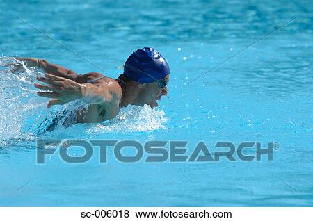 Male Swimmer Swimming Butterfly View Large Photo Image Stock Photo - Male Swimmer Swimming Butterfly. Fotosearch