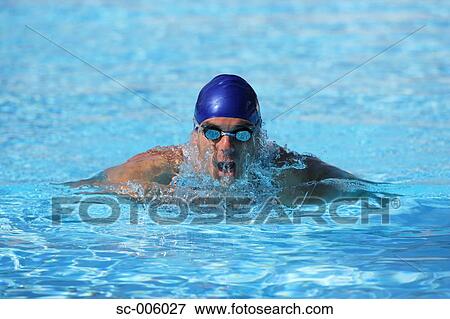 Male Swimmer Swimming Butterfly View Large Photo Image Stock Photo - Male Swimmer Swimming Butterfly. Fotosearch