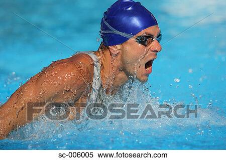 Male Swimmer Swimming Butterfly View Large Photo Image Stock Photography - Male Swimmer Swimming Butterfly. Fotosearch