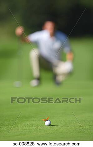 Butterfly Sitting on a Golf Ball View Large Photo Image Stock Photo - Butterfly Sitting on a Golf Ball. Fotosearch