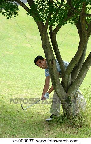 Stock Photo - Man playing a golf shot from behind a tree. Fotosearch