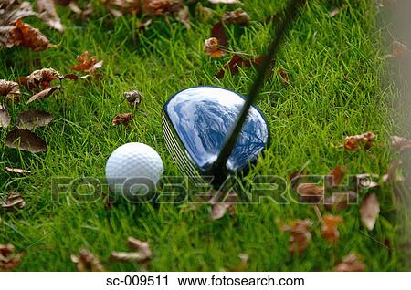 Stock Image - Close up of a driver ready to hit a golf ball out of the rough. Fotosearch