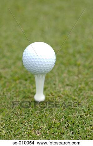 Close up of a golf ball placed on the golf tee View Large Photo Image Picture - Close up of a golf ball placed on the golf tee. Fotosearch