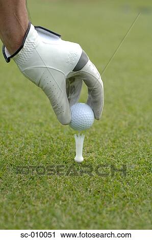 Close up of a mans hand teeing a golf ball View Large Photo Image Stock Image - Close up of a mans hand teeing a golf ball. Fotosearch