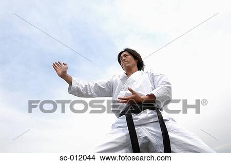 Blackbelt In An At Ready Stance View Large Photo Image Picture - Blackbelt In An At Ready Stance. Fotosearch