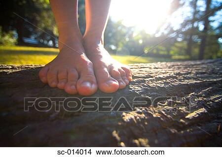 Picture - Close up of feet on tree trunk. Fotosearch