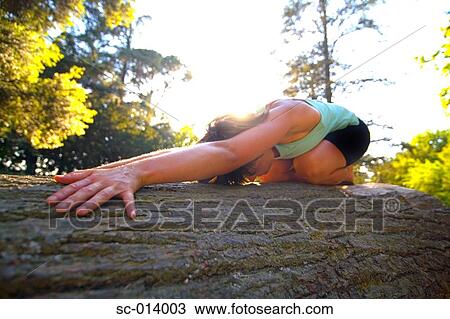 Young woman exercising on tree trunk View Large Photo Image Stock Image - Young woman exercising on tree trunk. Fotosearch