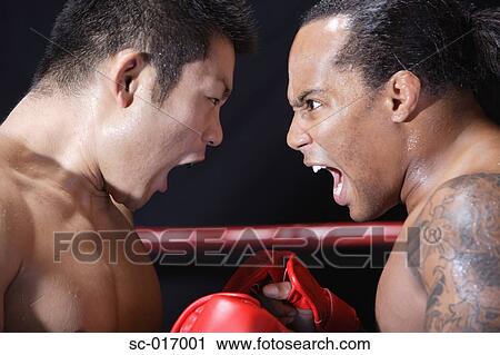 Mixed Martial Arts Fighter Shouting View Large Photo Image Stock Image - Mixed Martial Arts Fighter Shouting. Fotosearch