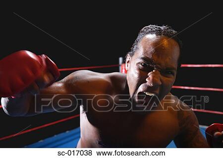 Mixed Martial Arts Fighter View Large Photo Image Stock Photo - Mixed Martial Arts Fighter. Fotosearch