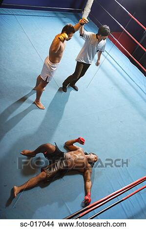 Picture - Mixed Martial Arts Fighter Wins by KO. Fotosearch