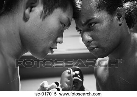 Stock Photography - Mixed Martial Arts Fighters Staring each other down. Fotosearch