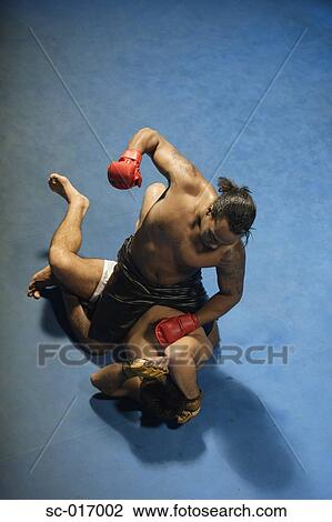 Mixed Martial Arts Fighters View Large Photo Image Stock Image - Mixed Martial Arts Fighters. Fotosearch