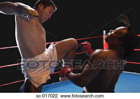Stock Image - Mixed Martial Arts Fighters. Fotosearch