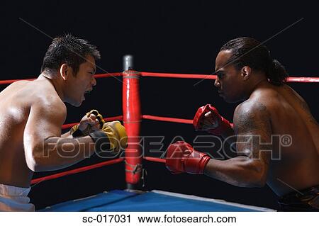 Mixed Martial Arts Fighters View Large Photo Image Stock Image - Mixed Martial Arts Fighters. Fotosearch