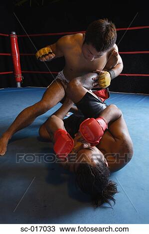 Stock Image - Mixed Martial Arts Fighters. Fotosearch