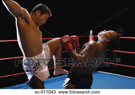 Stock Image - Mixed Martial Arts Fighters. Fotosearch