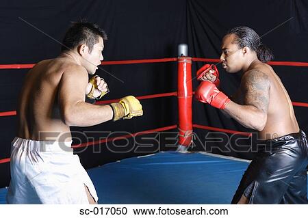 Stock Image - Mixed Martial Arts Fighters. Fotosearch