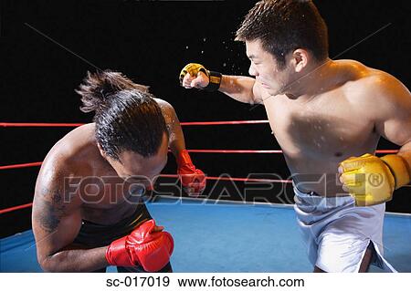 Mixed Martial Arts Fighters View Large Photo Image Stock Photo - Mixed Martial Arts Fighters. Fotosearch