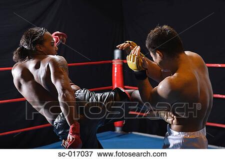 Mixed Martial Arts Fighters View Large Photo Image Stock Photo - Mixed Martial Arts Fighters. Fotosearch