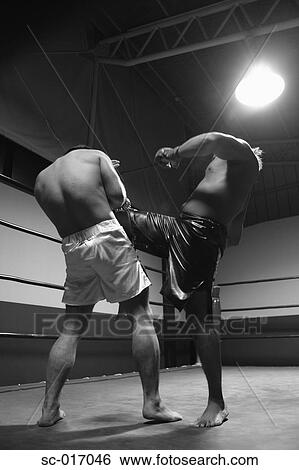 Stock Photograph - Mixed Martial Arts Fighters. Fotosearch