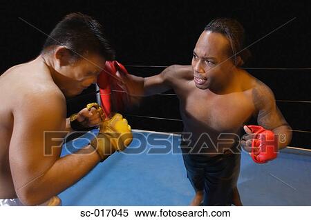 Mixed Martial Arts Fighters View Large Photo Image Stock Photography - Mixed Martial Arts Fighters. Fotosearch