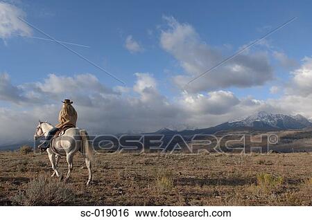 Stock Photograph - Cowgirl in the Countryside. Fotosearch
