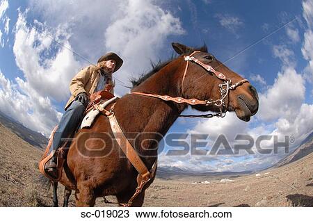 Stock Image - Cowgirl on her Horse. Fotosearch