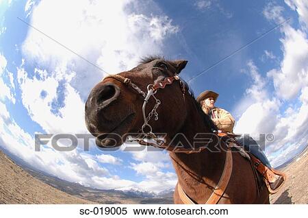 Cowgirl on her Horse View Large Photo Image Stock Photography - Cowgirl on her Horse. Fotosearch