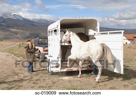 Stock Photo - Horse Trailer. Fotosearch