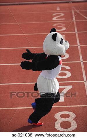 Panda Crosing the Finish Line View Large Photo Image Stock Photo - Panda Crosing the Finish Line. Fotosearch