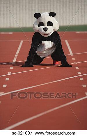 Panda Crouching on a Track View Large Photo Image Stock Photo - Panda Crouching on a Track. Fotosearch