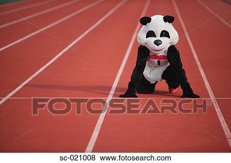 Panda Crouching on a Track View Large Photo Image Stock Photo - Panda Crouching on a Track. Fotosearch