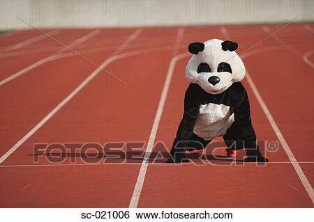 Stock Photograph - Panda Crouching on a Track. Fotosearch