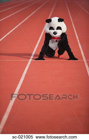 Panda Crouching on a Track View Large Photo Image Stock Photography - Panda Crouching on a Track. Fotosearch