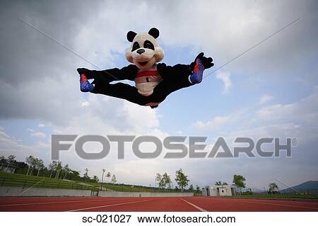 Panda Doing Jumping Splits View Large Photo Image Stock Photo - Panda Doing Jumping Splits. Fotosearch