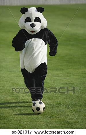 Panda Playing Football View Large Photo Image Stock Photo - Panda Playing Football. Fotosearch
