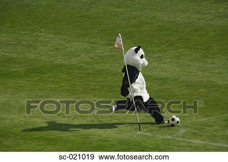 Panda Playing Football View Large Photo Image Stock Photo - Panda Playing Football. Fotosearch