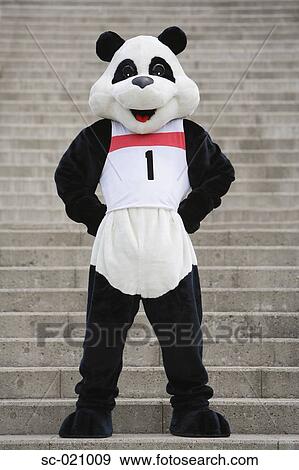 Stock Photo - Panda Posing. Fotosearch