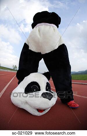 Stock Photo - Panda Posing. Fotosearch