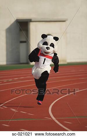 Panda Sprinting in a Relay View Large Photo Image Stock Image - Panda Sprinting in a Relay. Fotosearch