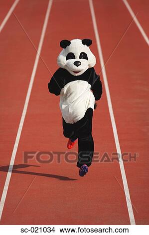 Panda Sprinting on a Track View Large Photo Image Picture - Panda Sprinting on a Track. Fotosearch