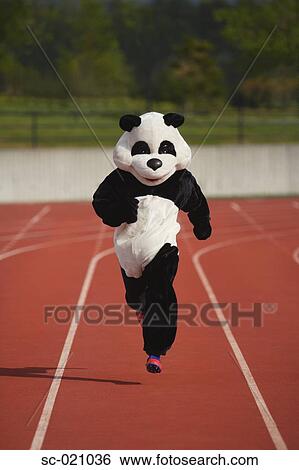 Panda Sprinting on a Track View Large Photo Image Stock Photograph - Panda Sprinting on a Track. Fotosearch