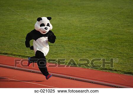 Panda Sprinting on a Track View Large Photo Image Stock Photography - Panda Sprinting on a Track. Fotosearch