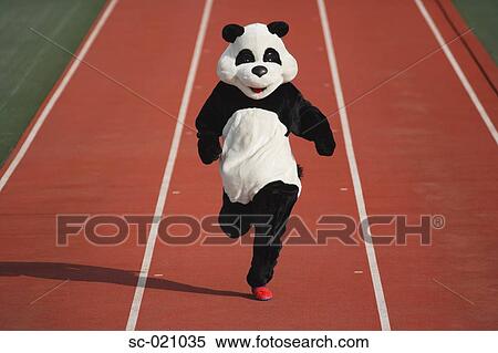 Panda Sprinting on a Track View Large Photo Image Stock Photography - Panda Sprinting on a Track. Fotosearch