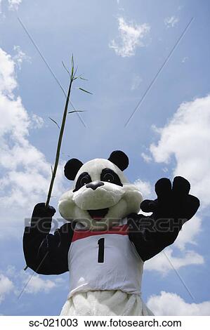 Panda Throwing Javelin View Large Photo Image Stock Image - Panda Throwing Javelin. Fotosearch
